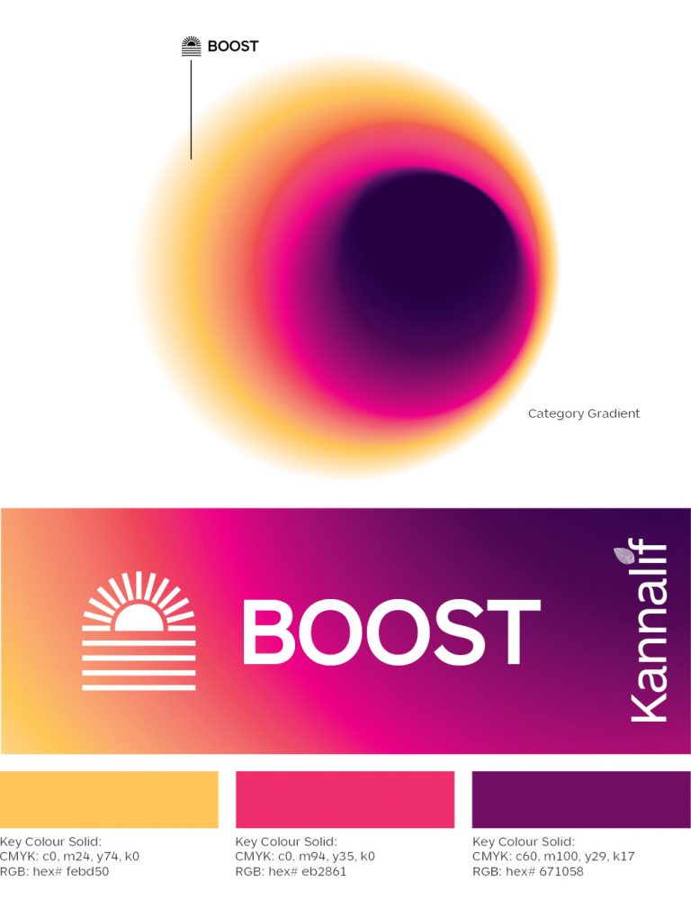 BOOST brand colours treatment V3 1000px 768x1009.jpg