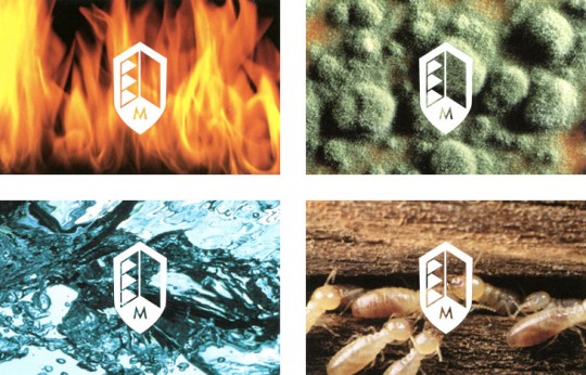 fire-mold-water-bugs-730px