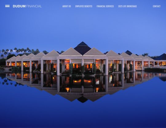 scom Websites featured image DUDUM new 02 11 2020 540x417x2 1080pxw 540x417.jpg