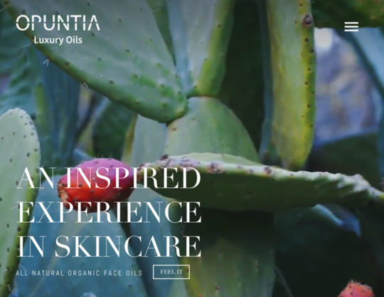 Opuntia